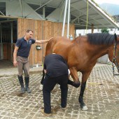 Reitpaedagogik3-170x170.jpg