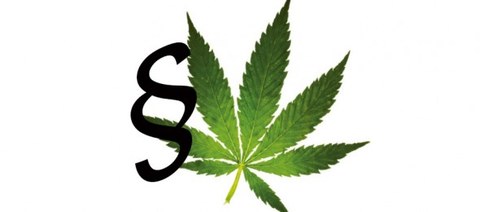 Cannabis im Straßenverkehr Cannabis im Straßenverkehr