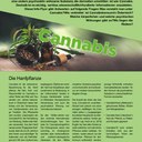 Cannabis